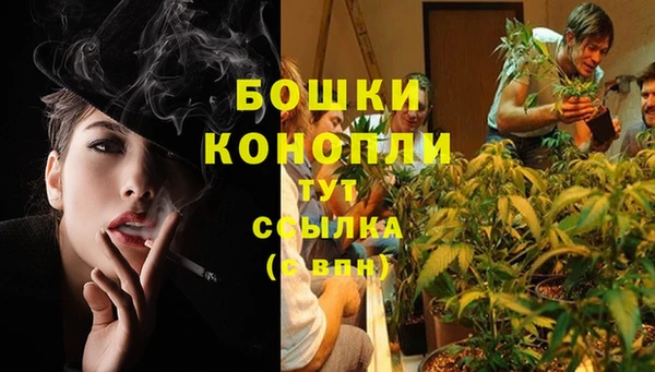 mdma Дмитров