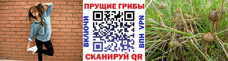Галлюциногенные грибы мухоморы  blacksprut рабочий сайт  Сызрань 